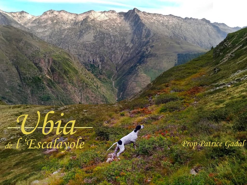 Ubia de l'Escalayole